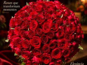 Imagem de galeria