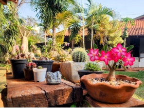 Foto galeria da empresa