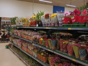 Foto de Carrefour Hipermercado em Goiânia, GO por Solutudo