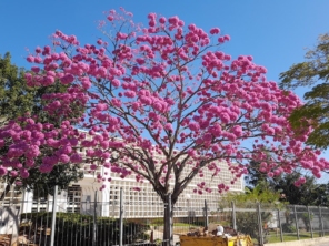 Foto de Vidroriental em Pederneiras, SP por Solutudo