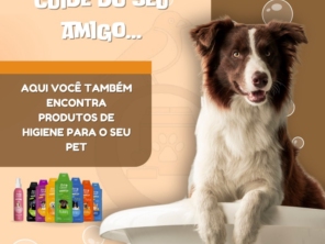 Foto galeria da empresa
