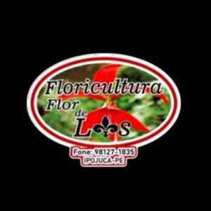 Floricultura Flôr de Lis
