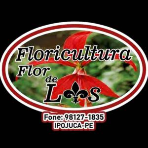 Floricultura Flôr de Lis