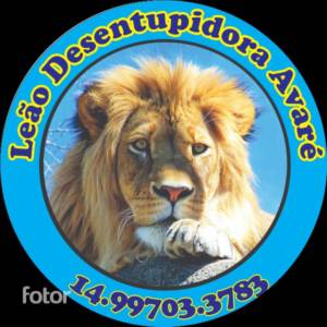 Leão Desentupidora Avaré em Avaré, SP por Solutudo