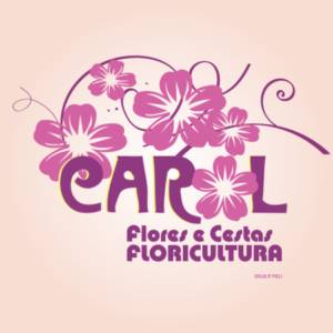 Carol Flores e Cestas