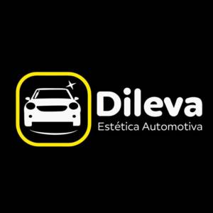 Dileva Estética Automotiva em Botucatu, SP por Solutudo