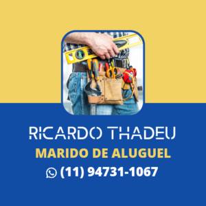 Ricardo Thadeu Marido de Aluguel - Instalações e Reparos Domésticos em São Paulo, SP por Solutudo