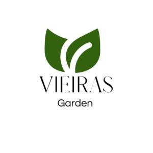 Vieiras garden
