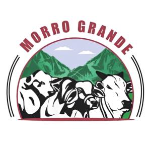 Grupo Morro Grande 
