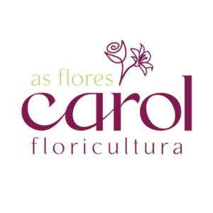 Floricultura As Flores da Carol - Vila A