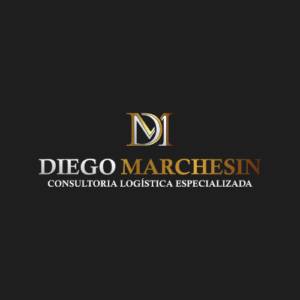 Diego Marchesin Consultor Logísticas 