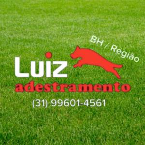 Luiz Adestramento de Cães