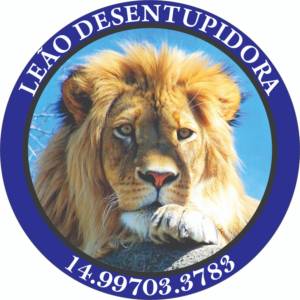 Leão Desentupidora