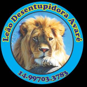 Leão Desentupidora em Itaí, SP por Solutudo