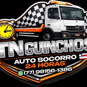 TN TRANSPORTE E SERVIÇOS LTDA