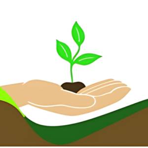 Souza Jardinagem, Plantio de Árvores Nativas e Comércio de Mudas em Santa Cruz do Rio Pardo, SP por Solutudo