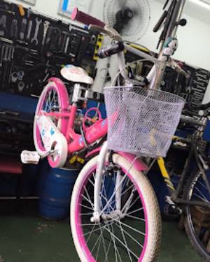 Rocha Bicicletaria