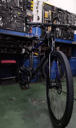 Rocha Bicicletaria