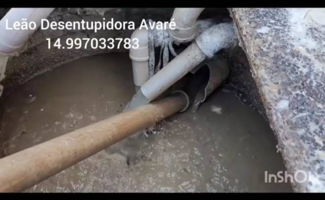 Leão Desentupidora Avaré