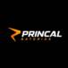 Princal Baterias