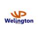 Welington Pinturas