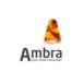 Ambra - Artigos para Decoração