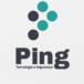 Ping Tecnologia Ltda