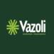 Vazoli - Empréstimos e Financiamento