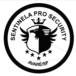 Sentinela Pro Security