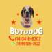 Botudog