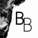 Bison Business: fotos e vídeos para negócios