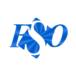 Fso Soluções