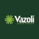 Vazoli - Empréstimos e Financiamento