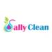 Sally Clean Ltda