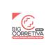 Big Corretiva Prevenção Saúde e Conforto
