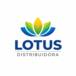 Lótus Distribuidora de Peças e Acessórios