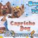 Caprichos Dog