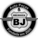 Auto Mecânica Bom Jesus
