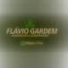 Flávio Gardem