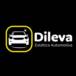 Dileva Estética Automotiva