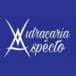 Vidraçaria Aspecto