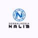 Serralheria Nalim