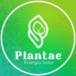 Plantae Soluções
