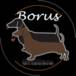 Tabacaria Borus Smokers
