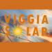 Viggia Solar