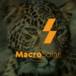 Macrosolar