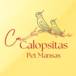 Calopsitas Pet Mansas