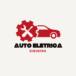 Auto elétrica Siqueira