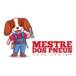 Mestre dos Pneus Auto Center