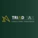Triad Tax 
